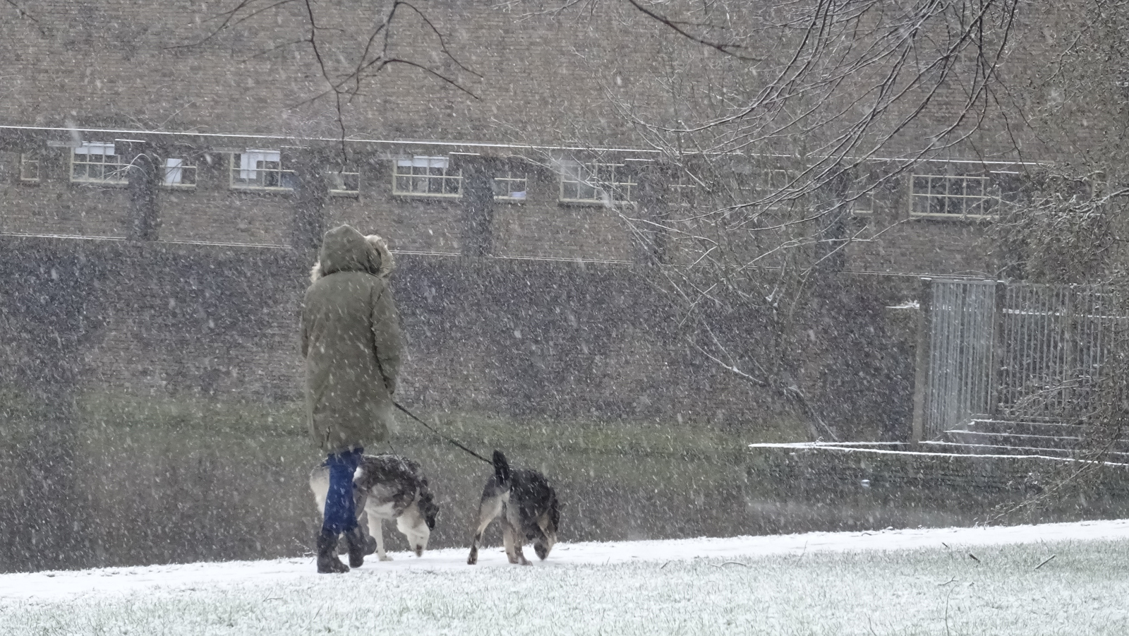sneeuw
