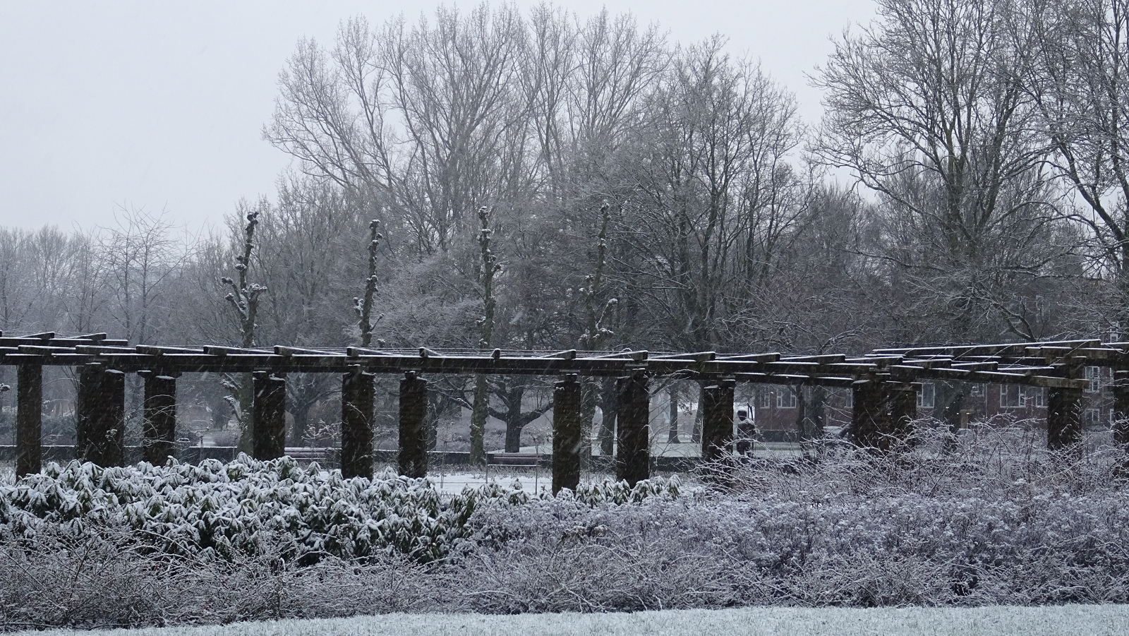 sneeuw 2