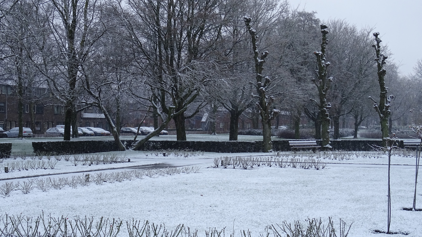 sneeuw