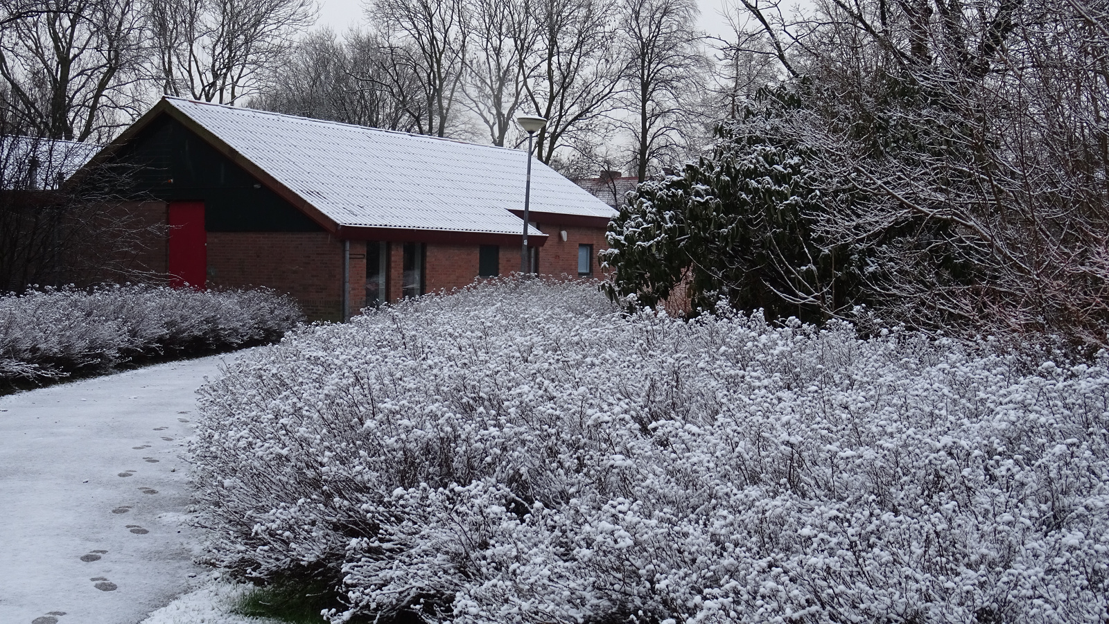 sneeuw