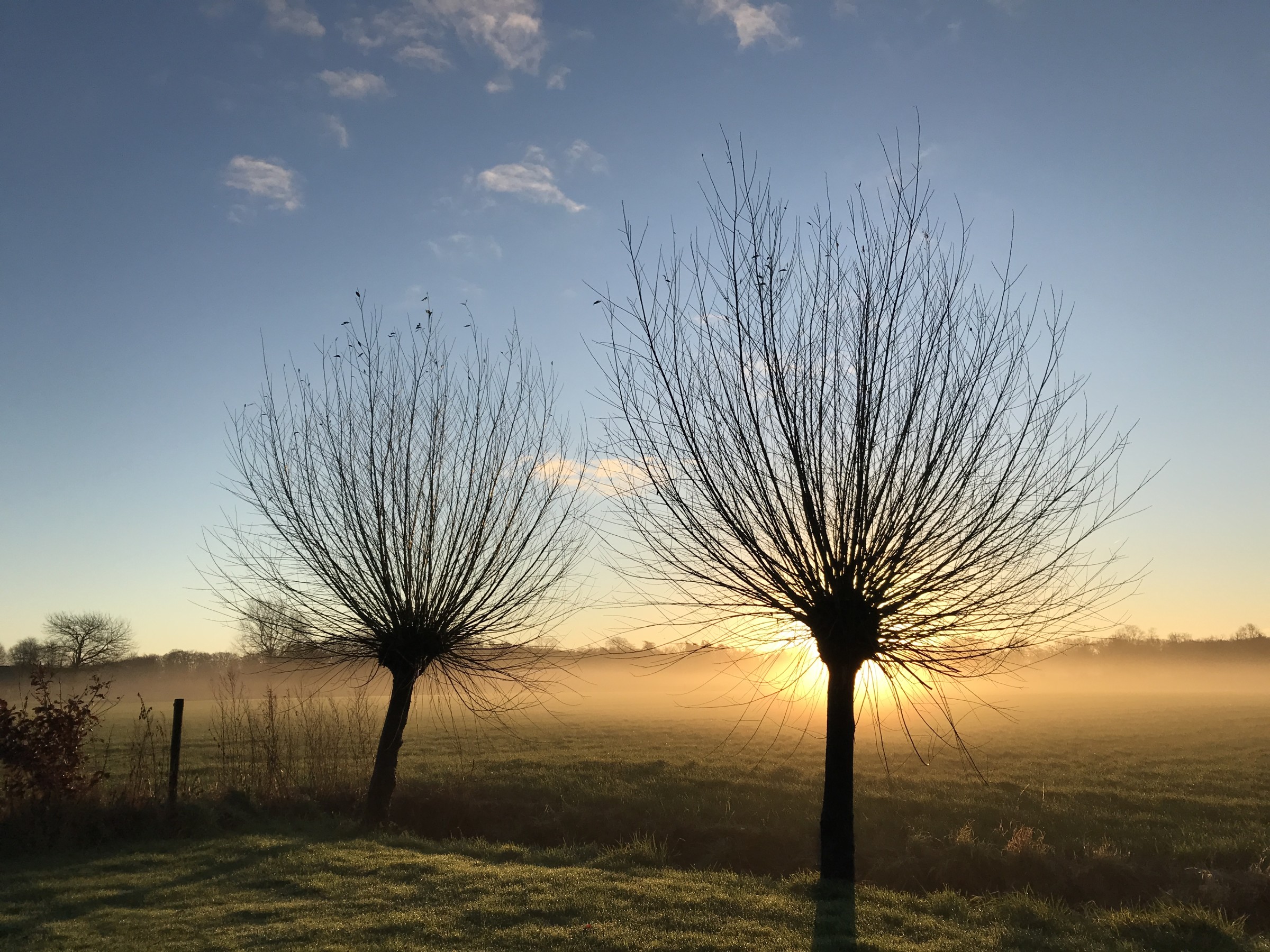 Weerwoord | Zonnig! Post Hieronder Een Zonnige Weerfoto!